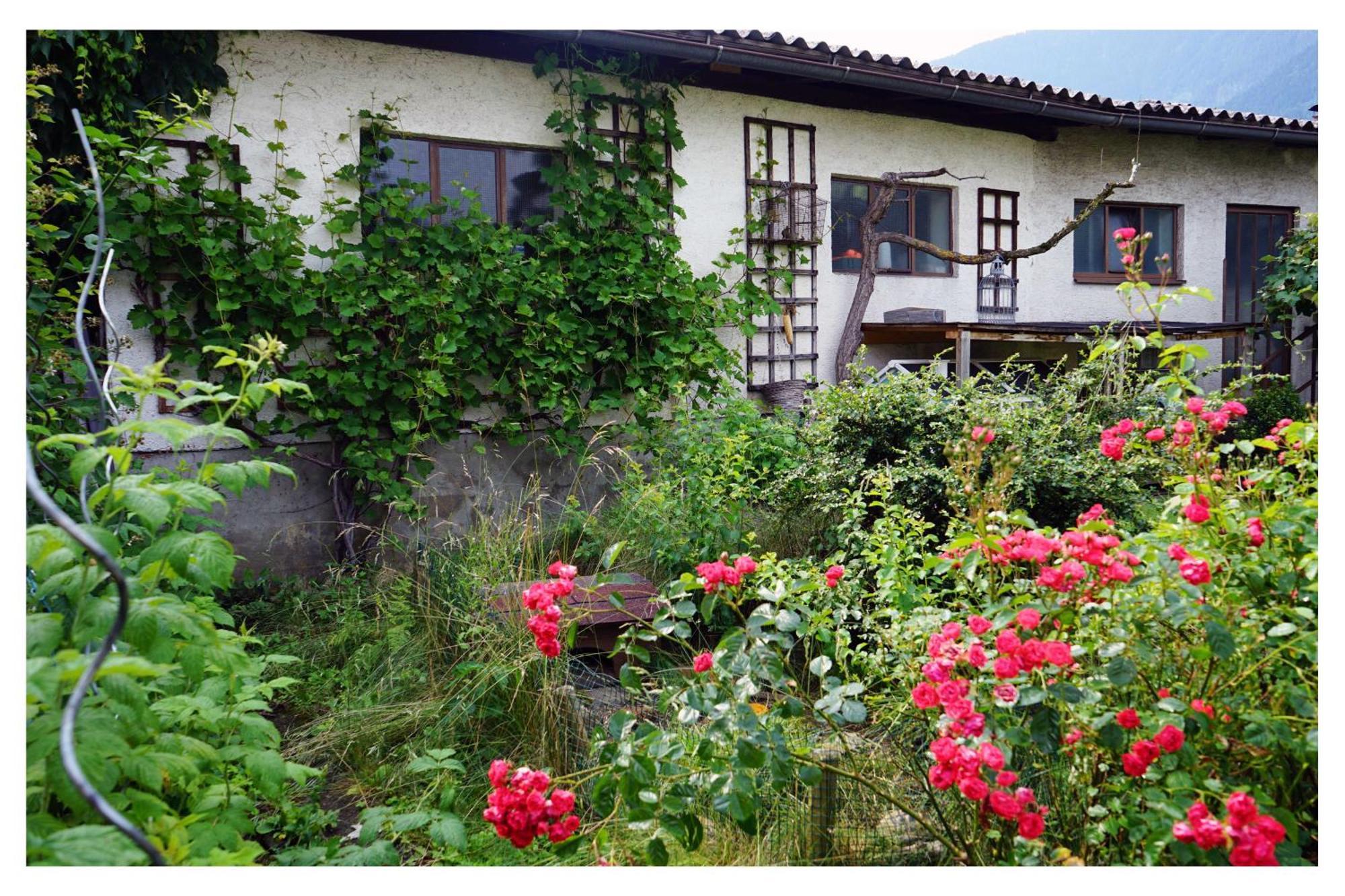 Ingrid'S Guesthouse Spittal Spittal an der Drau Exterior foto